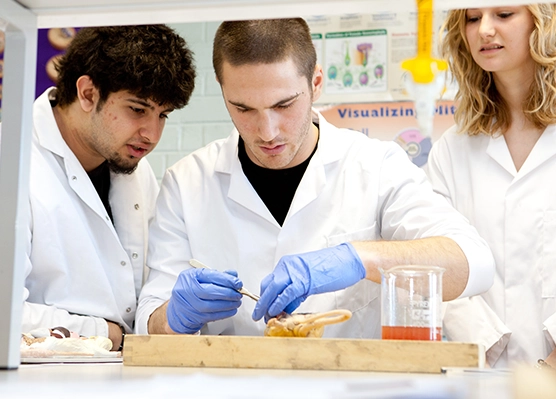 Institute of Science & Environment